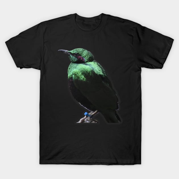 Emerald Starling T-Shirt by Sharonzoolady